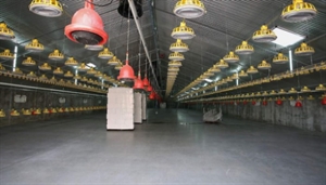 Opfokstal Heusinkveld