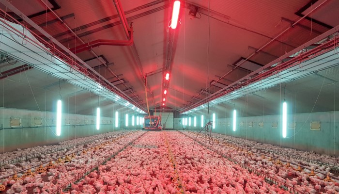 Producten Powerlamps
