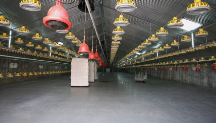 Projecten Powerlamps